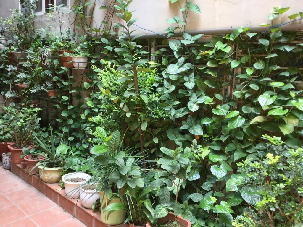 French-Styled House Apartment Hanoi Exterior foto